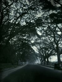 Road passing through trees