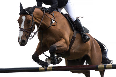 Low section of person jumping with horse in competition