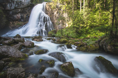 View of waterfall in forest