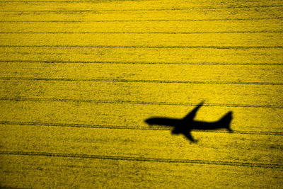 Close-up of yellow shadow on ground