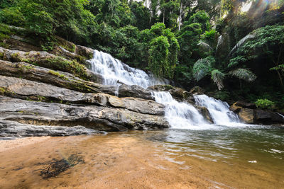 Scenic view of waterfall in forest