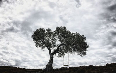 Low angle view of silhouette tree against sky