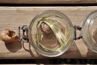 Directly above shot of seashells in glass jar on table