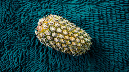 High angle view of pineapple
