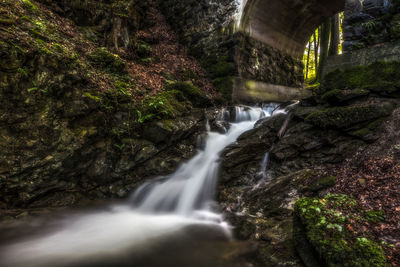 View of waterfall in forest