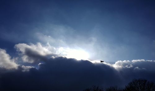 Low angle view of silhouette sky