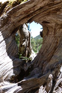 View of rock formation