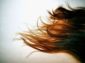 Close-up portrait of woman against white background