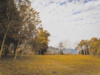 Trees on field against sky during autumn