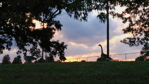 Silhouette trees on field against sky during sunset
