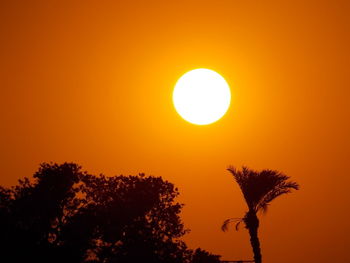 Low angle view of silhouette tree against orange sky