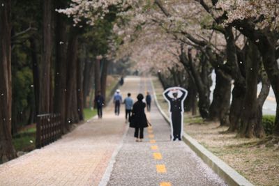 Rear view of people walking on footpath in park