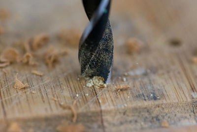 High angle view of dried leaf on table