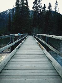 Footbridge over river in forest against sky