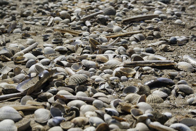 Close-up of pebbles on beach