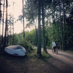 transportation