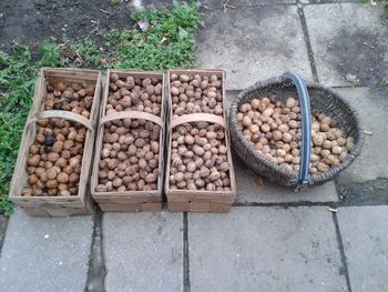 High angle view of walnuts in containers on footpath