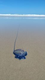 View of blue sea on the beach