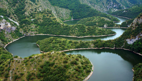 High angle view of river amidst trees in forest