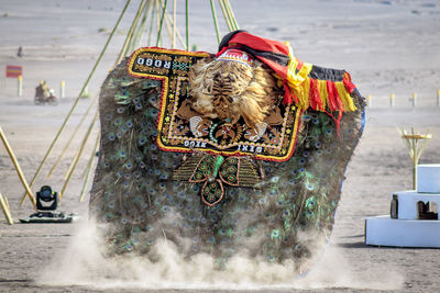 Person wearing costume on field