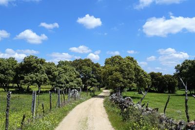 Road amidst trees on field against sky