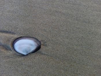 Close-up of sand on beach