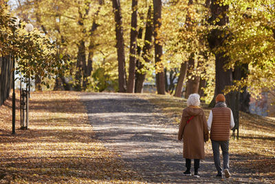 Senior couple walking in autumn park