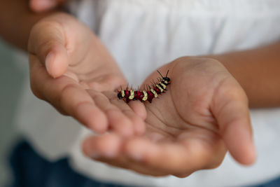 Close-up of woman holding hands