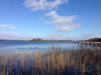 Scenic view of calm lake against blue sky