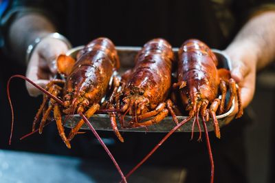 Midsection of man holding lobsters in tray