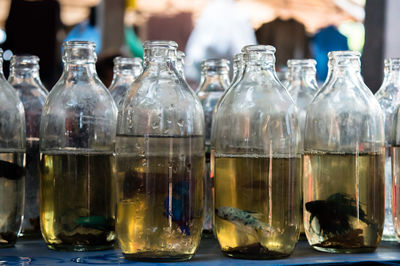 Close-up of wine bottles on table