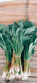 Close-up of green leaves, vegetable wallpaper, layout