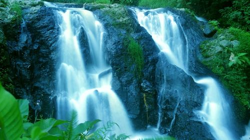 View of waterfall in forest