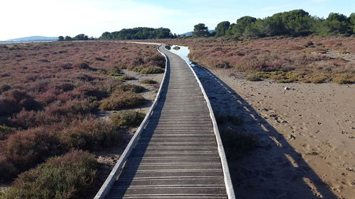 View of railroad tracks on land