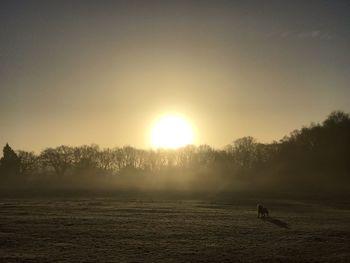 Scenic view of sunset over land