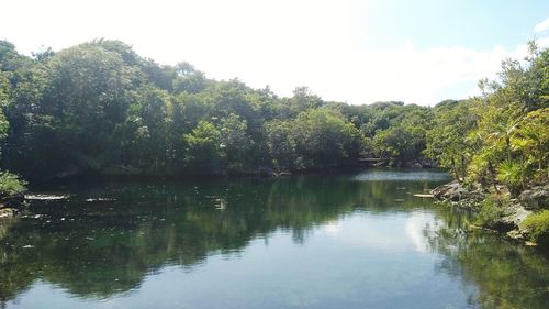 Scenic view of lake in forest against sky