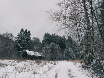 Snow covered land and trees against sky