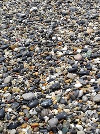 High angle view of pebbles on beach