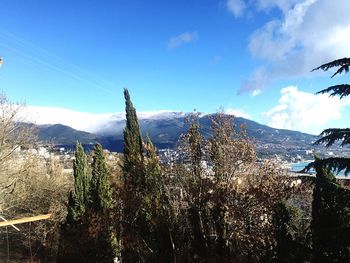 Panoramic view of trees and mountains against blue sky