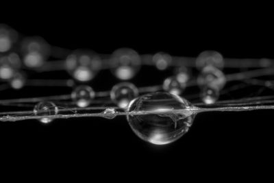 Close-up of water drop against black background