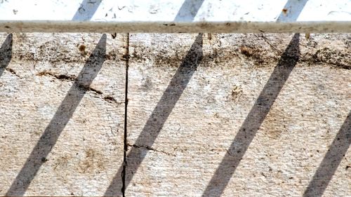Close-up of shadow on ground