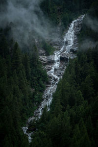 Low angle view of waterfall in forest