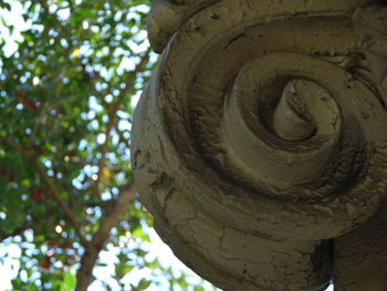 Close-up low angle view of tree