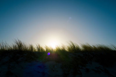 Scenic view of field against clear sky during sunset