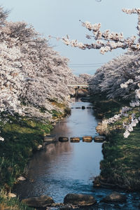 Scenic view of river against sky