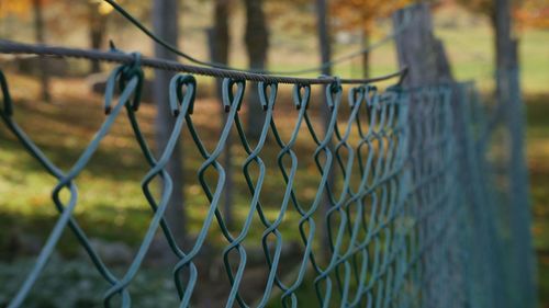 fence