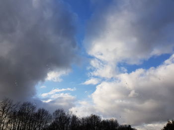 Low angle view of trees against blue sky