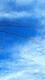 Low angle view of birds flying against cloudy sky