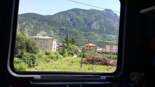 Trees seen through train window