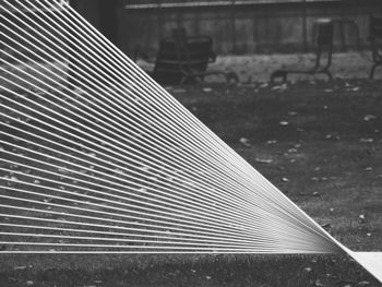 Close-up view of blurred background